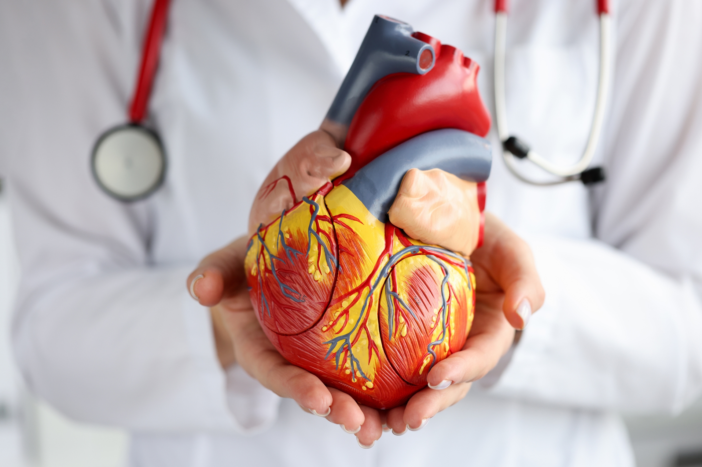 Cardiac Support